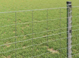 Euro Fence 10 x 1.6 m PVC-coated iron 42004657