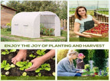 2.5 x 2 x 2 m Polytunnel Greenhouse, Walk-in Green House for Garden with Mesh Windows, Galvanised T3398P313649