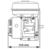 Petrol Engine 15 HP 11 kW Black 141247