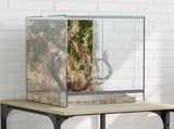 Terrarium with Storage Transparent 30 x 30 x 40 cm Glass 42020388