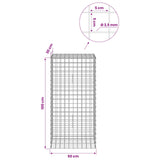 Gabion with 3.5 mm Wire and 5x5 cm Mesh 50x30x100 cm 3462235