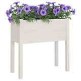 Garden Planters 2 pcs White 70x31x70 cm Solid Pinewood 810822