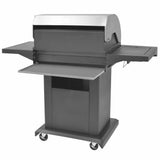 Gas Barbecue Grill with Wheel Silver Steel with Metal Hose 43047