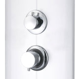 Shower Panel Unit 25x43x110 cm Silver 151421