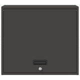 Wall Cabinet for Garage with Gas-lift Door Black 883268