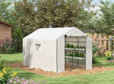 Walk-in Greenhouse with 3 Tier 12 Shelves, Small Greenhouse with Reinforced PE Cover, Garden Plant T3398P318656
