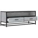 TV Cabinet Grey Sonoma 100x34.5x40 cm Engineered Wood and Metal 848817