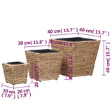 45571 Raised Beds 3 pcs Water Hyacinth