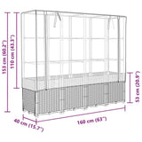 ZNTS Raised Bed with Greenhouse Cover Rattan Look 160x40x153 cm 4015817