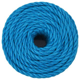 Work Rope Blue 20 mm 100 m Polypropylene 152992
