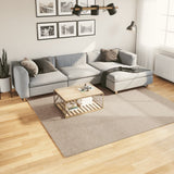 Rug HUARTE Short Pile Soft and Washable Sand 240x240 cm 375063