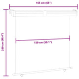 ZNTS Balcony Side Awning 165x250 cm Cream 48431