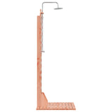 Outdoor Shower 223 cm Solid Douglas Wood and Stainless Steel 886330