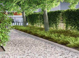Lawn Edging 4 pcs Silver 450 x 0.05 x 10 cm Stainless Steel 868017
