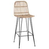Bar Stool 2 pcs Natural 44 x 55 x 109 cm Rattan and Steel 42033210