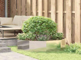 Planter Silver 120 x 120 x 35 cm Stainless Steel 883728