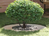 suitable for Flat Tree Rings 5 pcs Silver 40 / 70 cm 873685