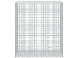 Gabion with 3.5 mm Wire and 5x5 cm Mesh 100x100x150 cm 3462452