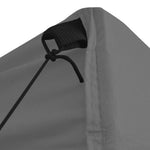 Professional Folding Party Tent with 4 Sidewalls 2x2 m Steel Anthracite 48885