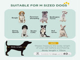 Foldable Dog Crate with 2 Doors with Tray, Soft Cushion, for Extra and Large Dogs, 105 x 70 x 75, T3398P376675