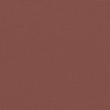 Retractable Side Awning Brown 160x600 cm 4004629