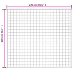 Weighted Blanket Grey 200x220 cm 13 kg Fabric 3154841