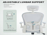 Office Chair/Massage Office Chair 18226400