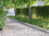 Lawn Edgings 30 pcs Silver 103 x 0.05 x 22 cm Galvanised Steel 874824