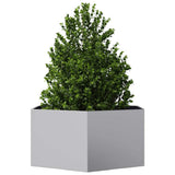 Garden Planter Hexagon 104x90x45 cm Galvanized Steel 851134