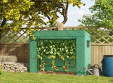 Mini Walk-in Greenhouse 73891612