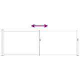 Retractable Side Awning Anthracite 300 x 100 cm Polyester 42035286