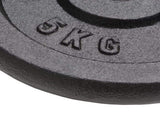 Weight Plates 4 pcs 2x10 kg2x5 kg Cast Iron 91395