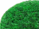 Artificial Boxwood Balls with LED Lights 2 pcs Green 27 cm 3335906