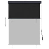 145964 Outdoor Roller Blind 120x250 cm Anthracite