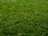 Artificial Grass PP & PE 42033137