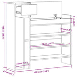 Shoe Cabinet Black 100.5x28x100 cm Engineered Wood 840423