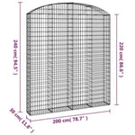 Arched Gabion Basket 200x30x220/240 cm Galvanised Iron 153471