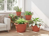 Plant Pots 6 pcs Brick Red 39 x 32 cm Plastic 3403274