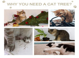 Cat Tree for Indoor Cats Kitten Tower Multi-level Activity Centre Pet Furniture with Scratching Post T3398P349894