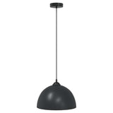Pendant Lamps 2 pcs Height Adjustable E27 Black 30 cm Metal 4103451