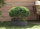 Planter Ring 5 pcs Black 40 x 40 x 20 cm Cold-rolled Steel 873607