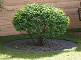 suitable for Flat Tree Ring Anthracite 90 / 120 cm Steel 873722
