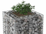 Gabion Raised Bed 50 x 50 x 150 cm Galvanised Steel Silver 42033332