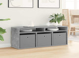 Lowboard with Drawer Concrete Grey 102 x 32 x 48.5 cm 8000591