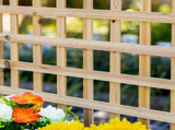 Garden Planters with Trellis for Climbing Vines, Wood Raised Beds for Garden, Flower Pot, Indoor T3398P320084