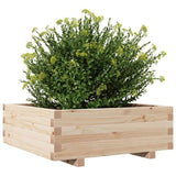 Garden Planter 70x70x26.5 cm Solid Wood Pine 847303