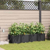Garden Planter 4 pcs Black 160 x 40 x 37.5 cm PP 42002847
