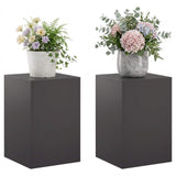 Plant Stand 2 pcs Black 40 x 40 x 60 cm Steel 8012531