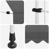 Manual Retractable Awning 400 cm Anthracite 143692