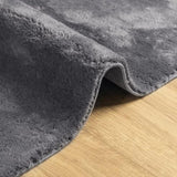 Rug HUARTE Short Pile Soft and Washable Anthracite 80x200 cm 374996
